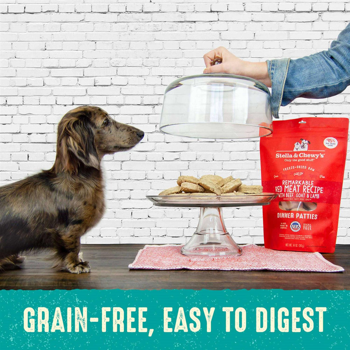 Freeze-Dried Dog Food T2571