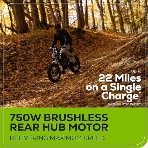 Greenworks 80V G24907