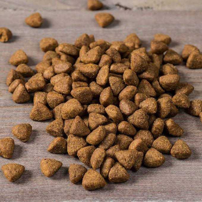 Dry Dog Food M193