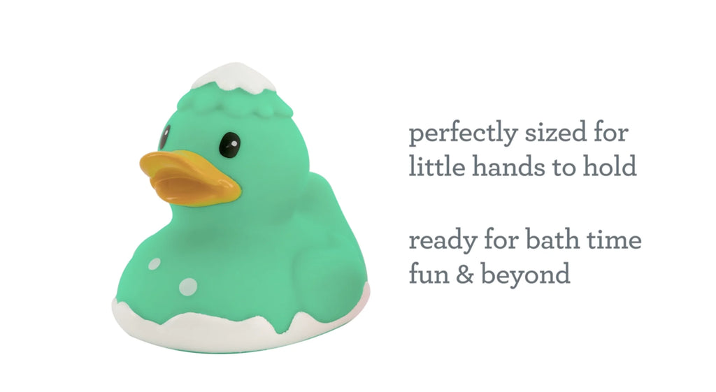 2pk Holiday Ducks H92091