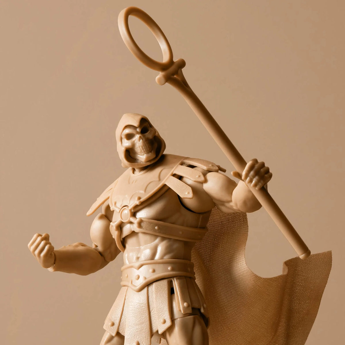 Skeletor Collector Figure W449