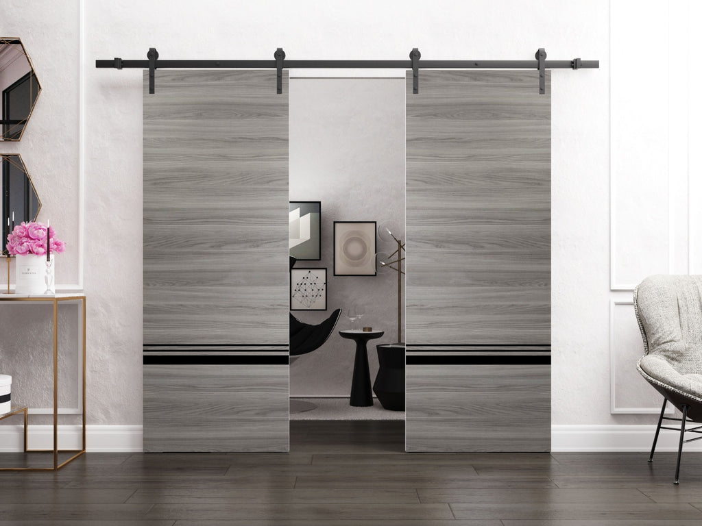 Double Barn Door 36 x 80 inches Grey Matte with Frosted Glass Stainless Steel Rail Hangers Solid Panel Interior Doors R458152