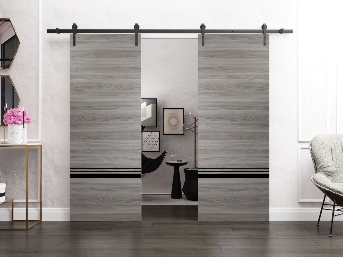 Double Barn Door 36 x 80 inches Grey Matte with Frosted Glass Stainless Steel Rail Hangers Solid Panel Interior Doors R458152