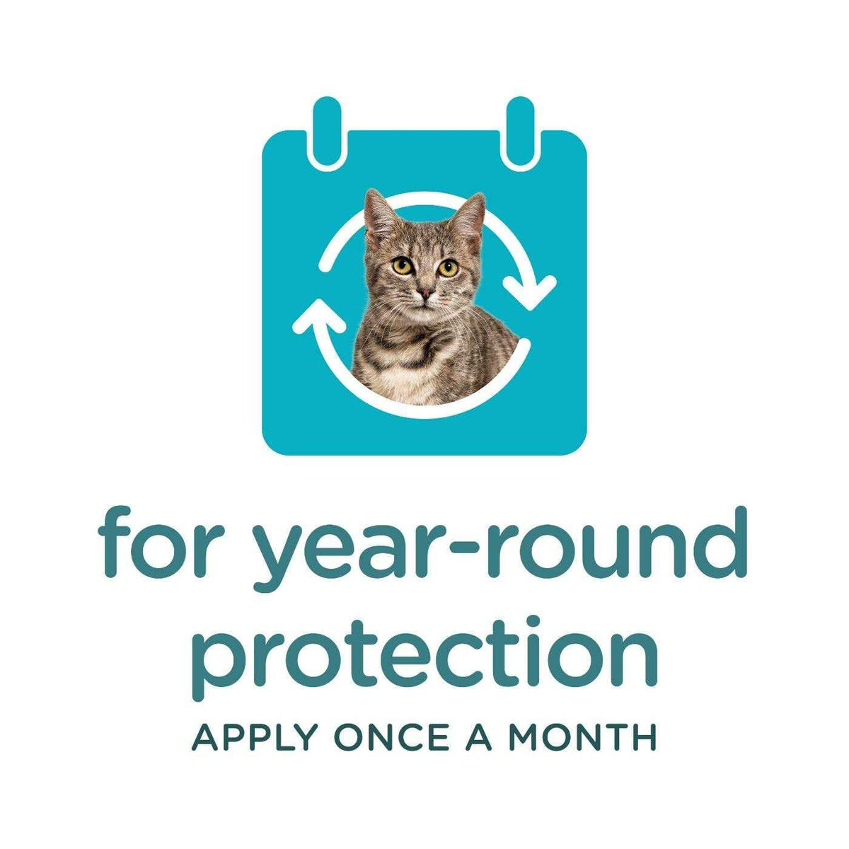 Flea and Tick Topical for Cats O795834